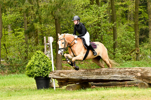 Quali für Goldene Schärpe Ponys in Berge   6+7.5.23 | Mayra Lynn Meyer - Amaretto_51 