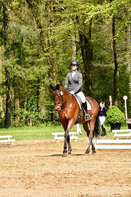 Quali für Goldene Schärpe Ponys in Berge   6+7.5.23 | Mia Hensen - Asam_01 