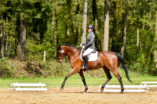Quali für Goldene Schärpe Ponys in Berge   6+7.5.23 | Mia Hensen - Asam_08 