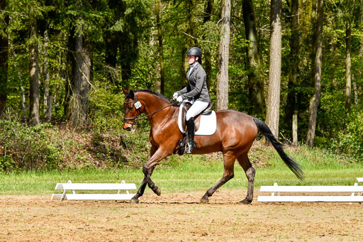 Quali für Goldene Schärpe Ponys in Berge   6+7.5.23 | Mia Hensen - Asam_09 