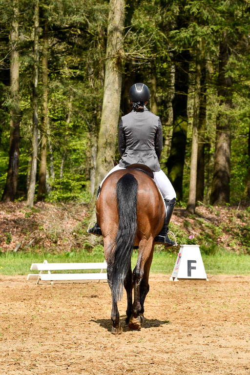 Quali für Goldene Schärpe Ponys in Berge   6+7.5.23 | Mia Hensen - Asam_14 