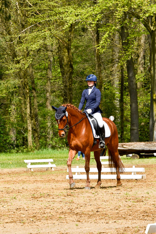 Quali für Goldene Schärpe Ponys in Berge   6+7.5.23 | Mira Groenke - Fidelio 