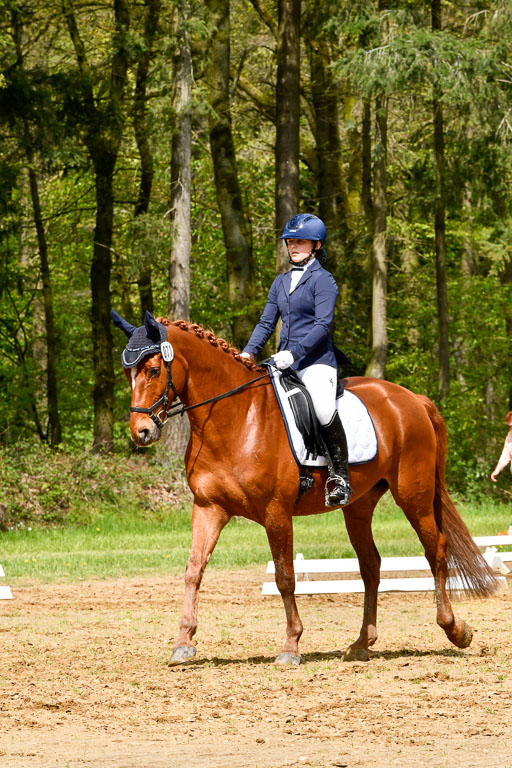 Quali für Goldene Schärpe Ponys in Berge   6+7.5.23 | Mira Groenke - Fidelio_01 