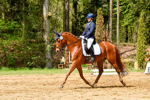 Quali für Goldene Schärpe Ponys in Berge   6+7.5.23 | Mira Groenke - Fidelio_03 