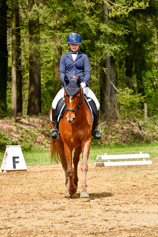 Quali für Goldene Schärpe Ponys in Berge   6+7.5.23 | Mira Groenke - Fidelio_04 