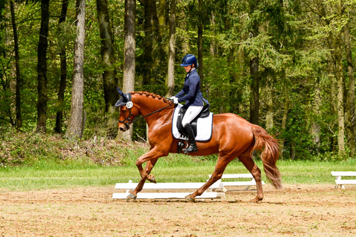 Quali für Goldene Schärpe Ponys in Berge   6+7.5.23 | Mira Groenke - Fidelio_06 