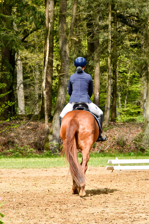 Quali für Goldene Schärpe Ponys in Berge   6+7.5.23 | Mira Groenke - Fidelio_07 