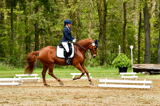 Quali für Goldene Schärpe Ponys in Berge   6+7.5.23 | Mira Groenke - Fidelio_08 