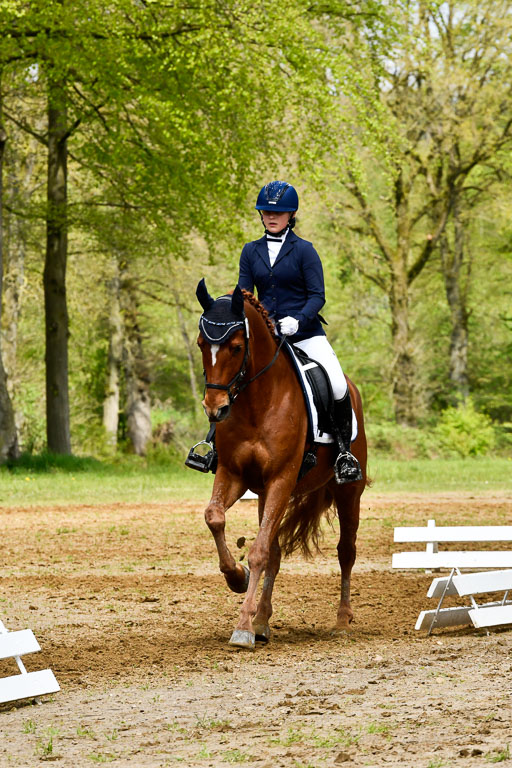 Quali für Goldene Schärpe Ponys in Berge   6+7.5.23 | Mira Groenke - Fidelio_09 