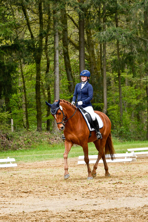 Quali für Goldene Schärpe Ponys in Berge   6+7.5.23 | Mira Groenke - Fidelio_11 