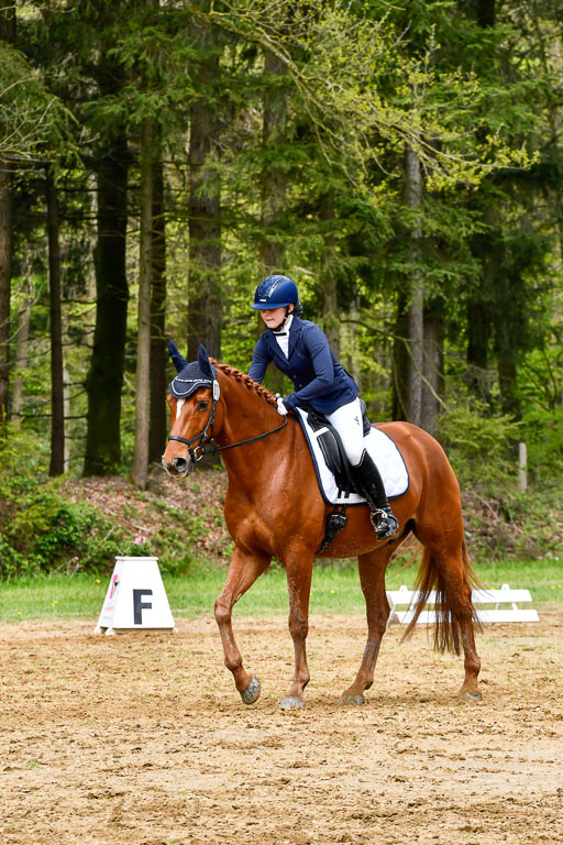 Quali für Goldene Schärpe Ponys in Berge   6+7.5.23 | Mira Groenke - Fidelio_12 