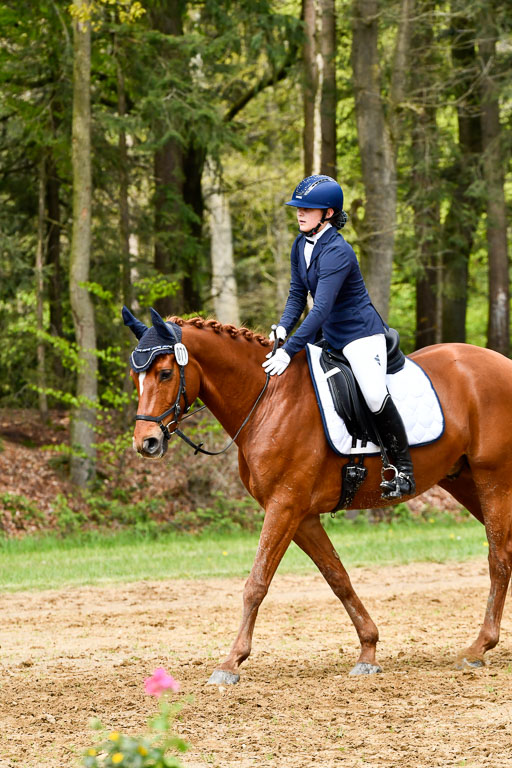 Quali für Goldene Schärpe Ponys in Berge   6+7.5.23 | Mira Groenke - Fidelio_13 