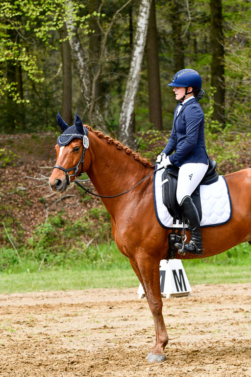 Quali für Goldene Schärpe Ponys in Berge   6+7.5.23 | Mira Groenke - Fidelio_14 