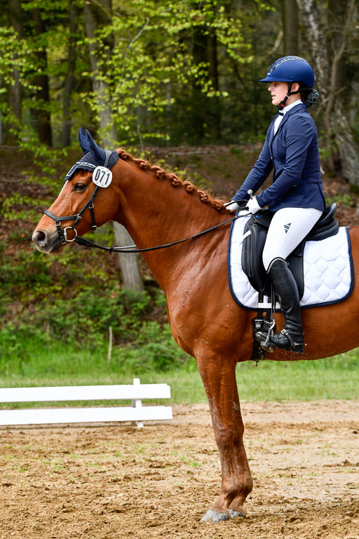 Quali für Goldene Schärpe Ponys in Berge   6+7.5.23 | Mira Groenke - Fidelio_15 
