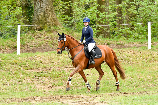 Quali für Goldene Schärpe Ponys in Berge   6+7.5.23 | Mira Groenke - Fidelio_16 