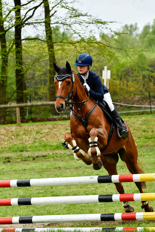 Quali für Goldene Schärpe Ponys in Berge   6+7.5.23 | Mira Groenke - Fidelio_19 