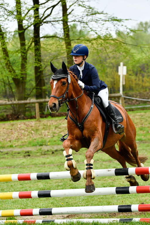 Quali für Goldene Schärpe Ponys in Berge   6+7.5.23 | Mira Groenke - Fidelio_20 