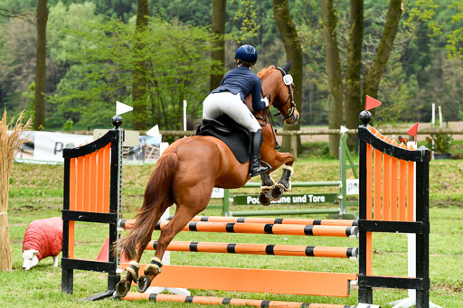 Quali für Goldene Schärpe Ponys in Berge   6+7.5.23 | Mira Groenke - Fidelio_23 
