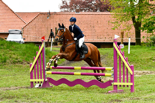 Quali für Goldene Schärpe Ponys in Berge   6+7.5.23 | Mira Groenke - Fidelio_28 