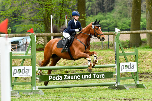Quali für Goldene Schärpe Ponys in Berge   6+7.5.23 | Mira Groenke - Fidelio_30 