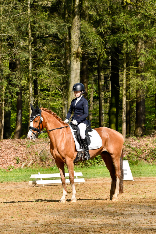 Quali für Goldene Schärpe Ponys in Berge   6+7.5.23 | Selma Krümpelmann - Cynthia _01 