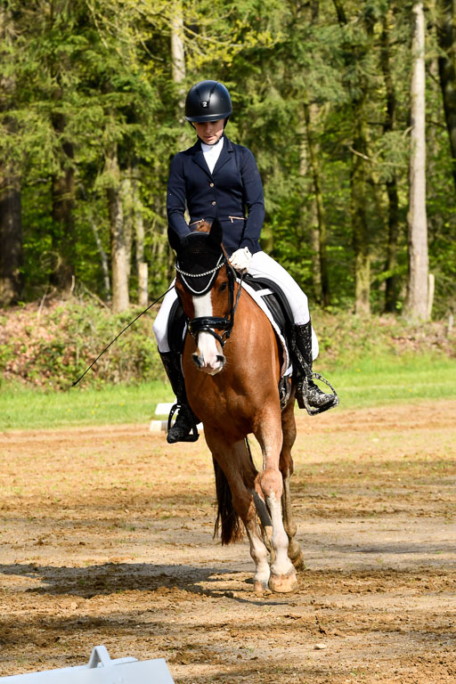 Quali für Goldene Schärpe Ponys in Berge   6+7.5.23 | Selma Krümpelmann - Cynthia _03 