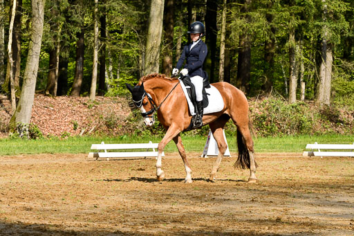 Quali für Goldene Schärpe Ponys in Berge   6+7.5.23 | Selma Krümpelmann - Cynthia _06 