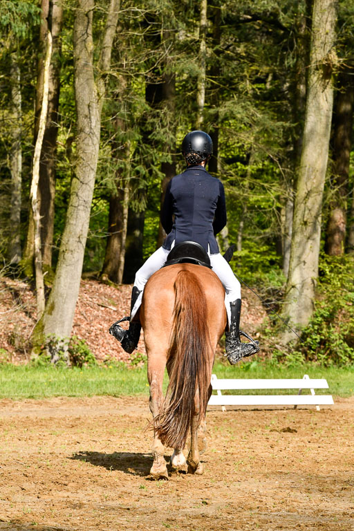 Quali für Goldene Schärpe Ponys in Berge   6+7.5.23 | Selma Krümpelmann - Cynthia _09 