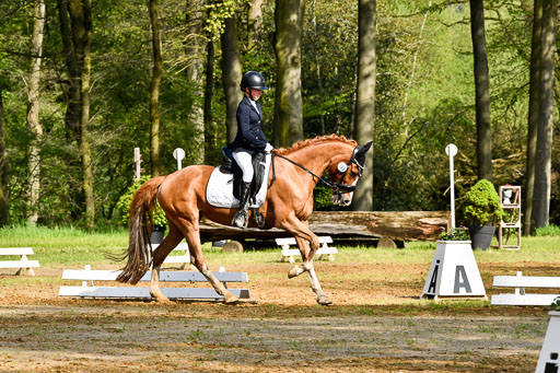 Quali für Goldene Schärpe Ponys in Berge   6+7.5.23 | Selma Krümpelmann - Cynthia _12 