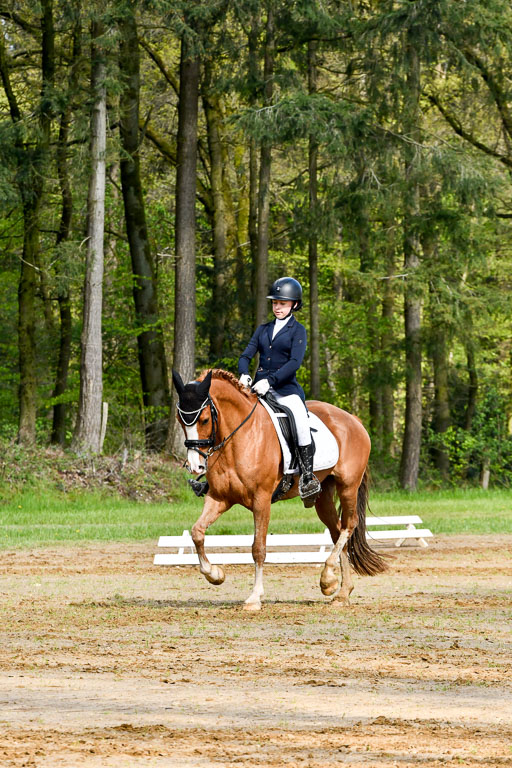 Quali für Goldene Schärpe Ponys in Berge   6+7.5.23 | Selma Krümpelmann - Cynthia _15 