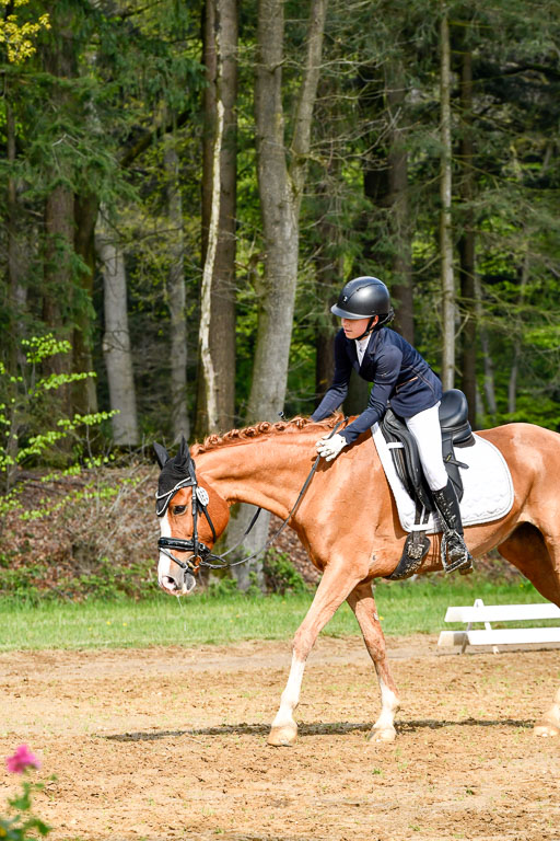 Quali für Goldene Schärpe Ponys in Berge   6+7.5.23 | Selma Krümpelmann - Cynthia _18 