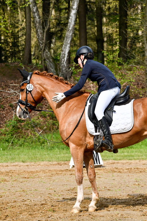 Quali für Goldene Schärpe Ponys in Berge   6+7.5.23 | Selma Krümpelmann - Cynthia _20 
