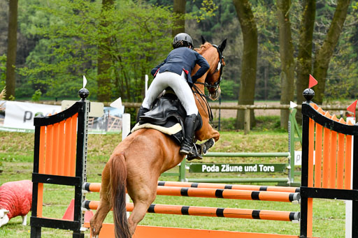 Quali für Goldene Schärpe Ponys in Berge   6+7.5.23 | Selma Krümpelmann - Cynthia _25 