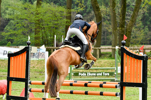 Quali für Goldene Schärpe Ponys in Berge   6+7.5.23 | Selma Krümpelmann - Cynthia _26 