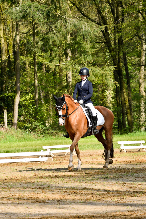 Quali für Goldene Schärpe Ponys in Berge   6+7.5.23 | Selma Krümpelmann - Cynthia 