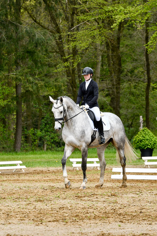 Quali für Goldene Schärpe Ponys in Berge   6+7.5.23 | Stine Genke - Grey 