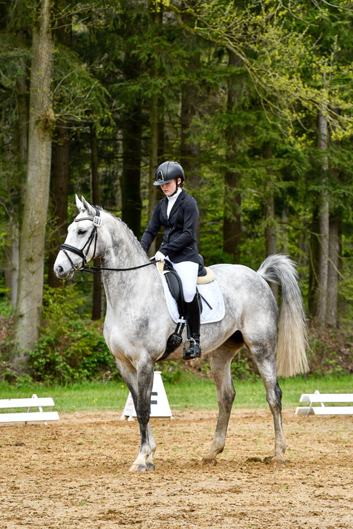 Quali für Goldene Schärpe Ponys in Berge   6+7.5.23 | Stine Genke - Grey_01 