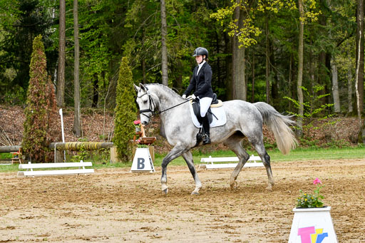 Quali für Goldene Schärpe Ponys in Berge   6+7.5.23 | Stine Genke - Grey_02 