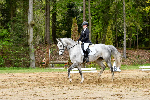 Quali für Goldene Schärpe Ponys in Berge   6+7.5.23 | Stine Genke - Grey_03 