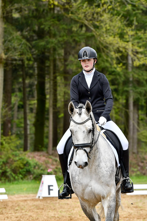 Quali für Goldene Schärpe Ponys in Berge   6+7.5.23 | Stine Genke - Grey_04 
