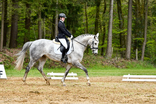 Quali für Goldene Schärpe Ponys in Berge   6+7.5.23 | Stine Genke - Grey_05 