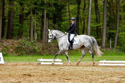 Quali für Goldene Schärpe Ponys in Berge   6+7.5.23 | Stine Genke - Grey_06 