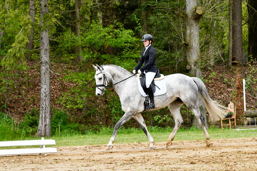 Quali für Goldene Schärpe Ponys in Berge   6+7.5.23 | Stine Genke - Grey_09 