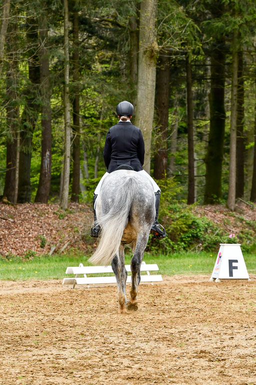 Quali für Goldene Schärpe Ponys in Berge   6+7.5.23 | Stine Genke - Grey_10 