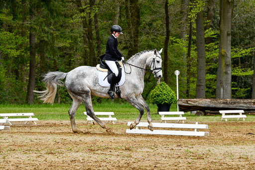 Quali für Goldene Schärpe Ponys in Berge   6+7.5.23 | Stine Genke - Grey_12 