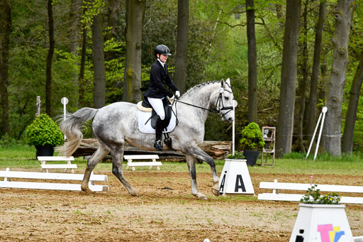 Quali für Goldene Schärpe Ponys in Berge   6+7.5.23 | Stine Genke - Grey_13 