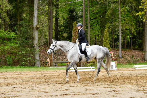 Quali für Goldene Schärpe Ponys in Berge   6+7.5.23 | Stine Genke - Grey_17 
