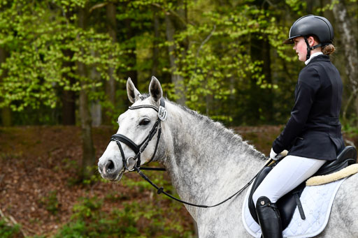 Quali für Goldene Schärpe Ponys in Berge   6+7.5.23 | Stine Genke - Grey_18 