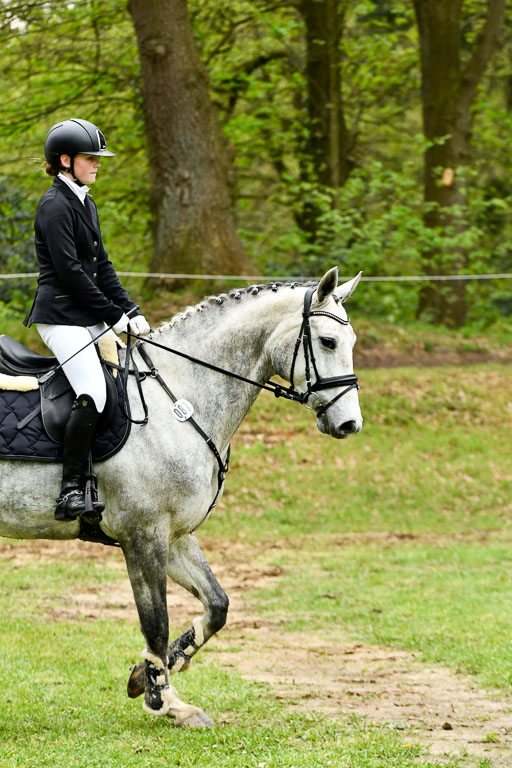 Quali für Goldene Schärpe Ponys in Berge   6+7.5.23 | Stine Genke - Grey_20 