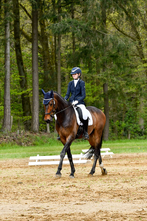 Quali für Goldene Schärpe Ponys in Berge   6+7.5.23 | Stine Sniders - Jeronimo 